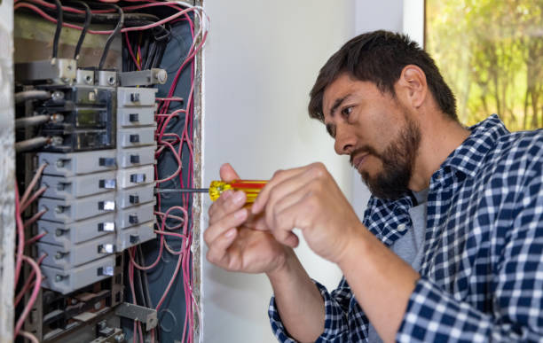 Best Electric Panel Repair  in Manitowoc, WI